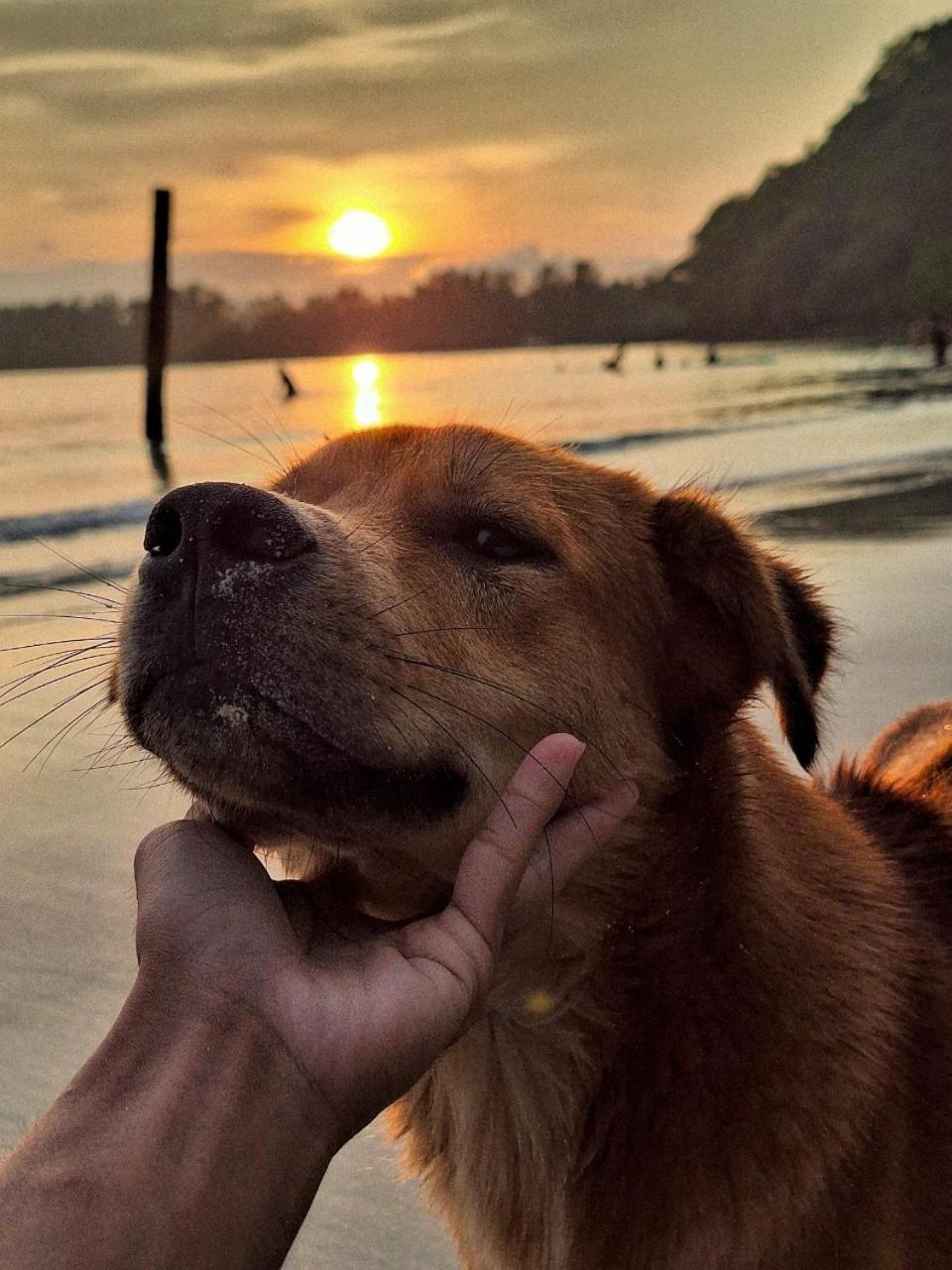 Koh kood Neverland beach resort Ko Kut Buitenkant foto