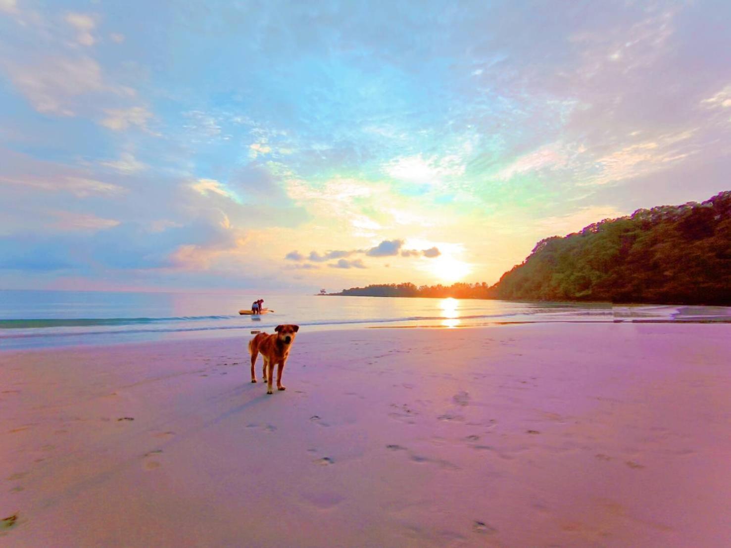 Koh kood Neverland beach resort Ko Kut Buitenkant foto